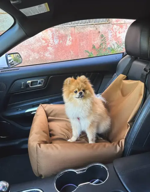 Cozy car seat for your pet, pet car seat